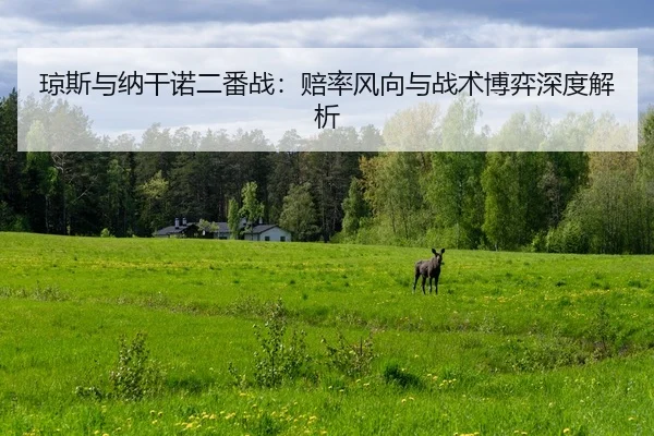 琼斯与纳干诺二番战：赔率风向与战术博弈深度解析