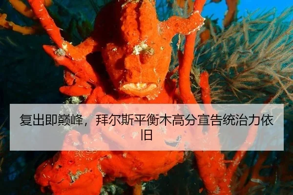 复出即巅峰，拜尔斯平衡木高分宣告统治力依旧